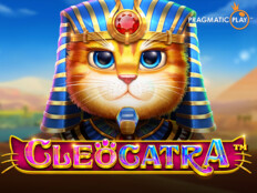 Cats casino3